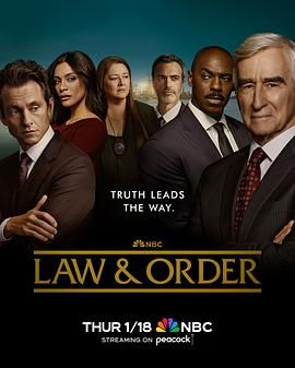 法律与秩序 第二十三季 第11集