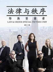 法律与秩序特殊受害者第十六季 第23集(大结局)